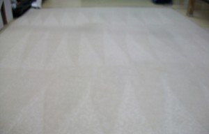 A home after our professional carpet cleaning services in Yorktown, VA